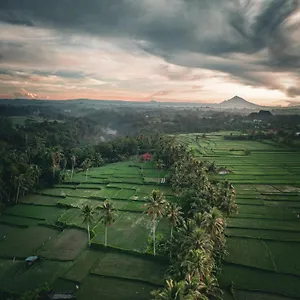 *** Gasthuis Ayu Duwur Beji Indonesië